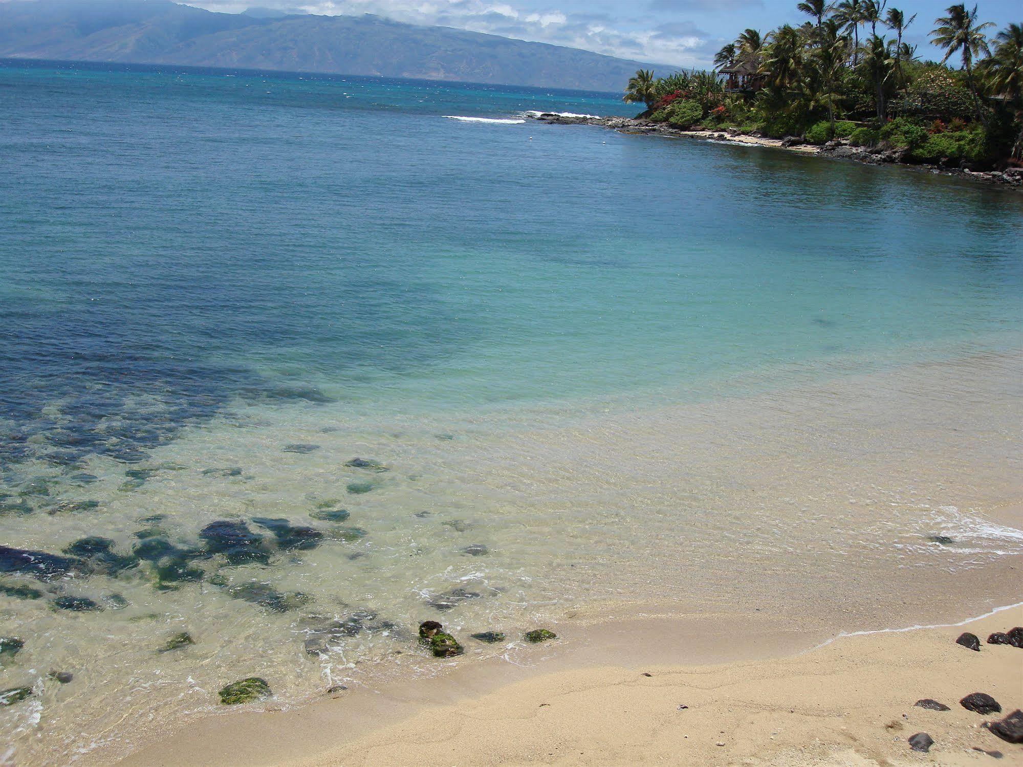 Maui Beach House B & B Kahana Bagian luar foto
